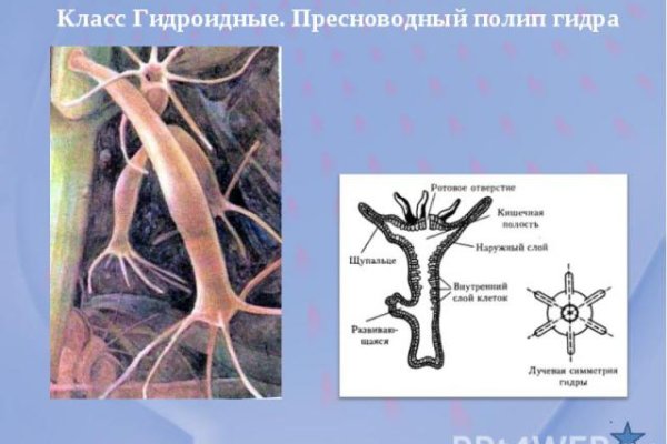 Как зарегистрироваться на сайте кракен