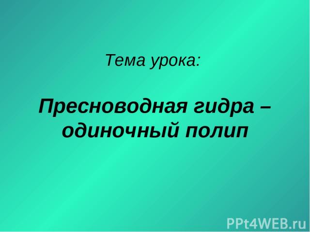 Кракен маркет только через тор