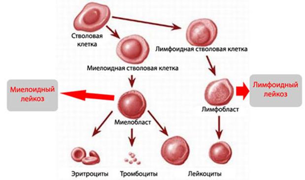 Кракен даркнет магазин