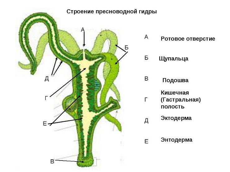 Ссылка на кракен onion kraken dark link